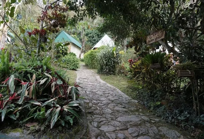 ホテル Phumork Camp Phu Chi Fa