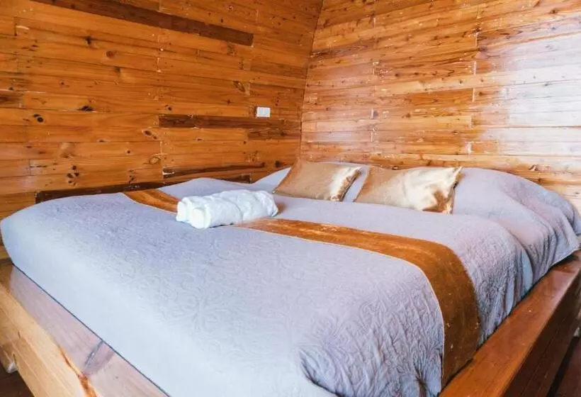 ホテル Phumork Camp Phu Chi Fa