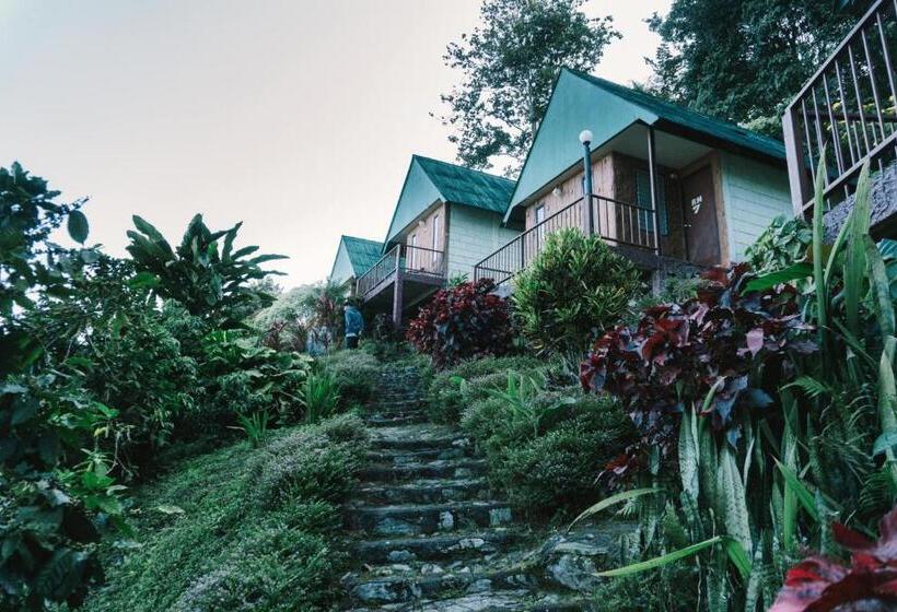 酒店 Phumork Camp Phu Chi Fa