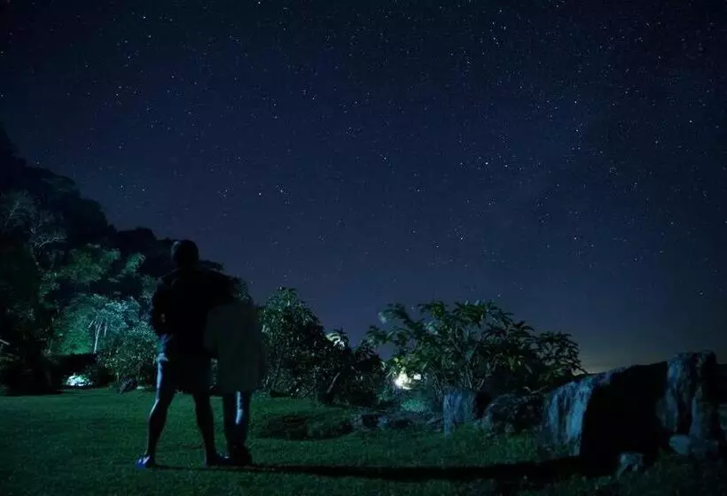 ホテル Phumork Camp Phu Chi Fa