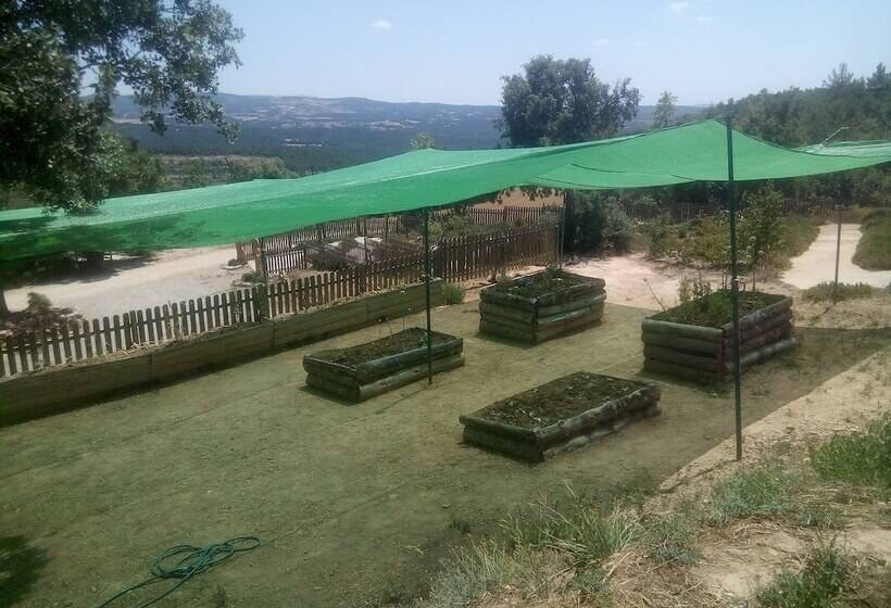 Alberg L  Auro   Hostel