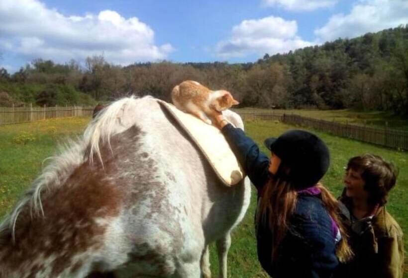 Alberg L  Auro   Hostel