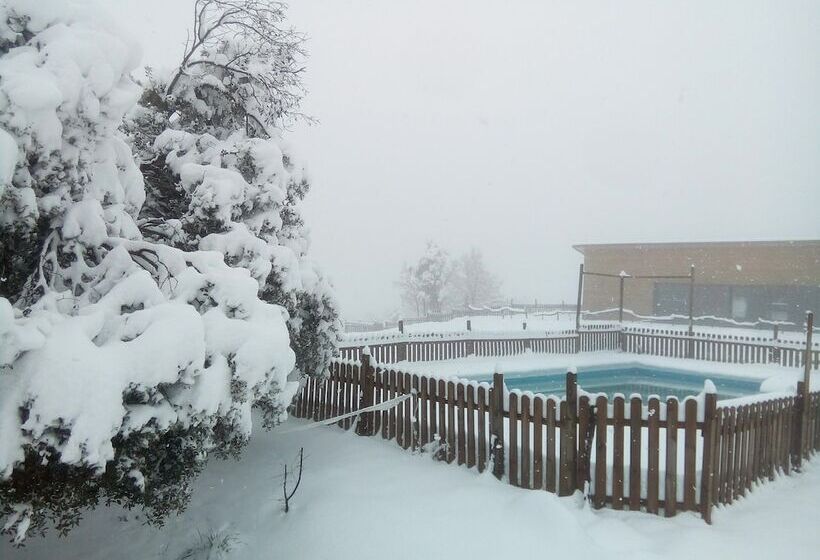 Alberg L  Auro   Hostel