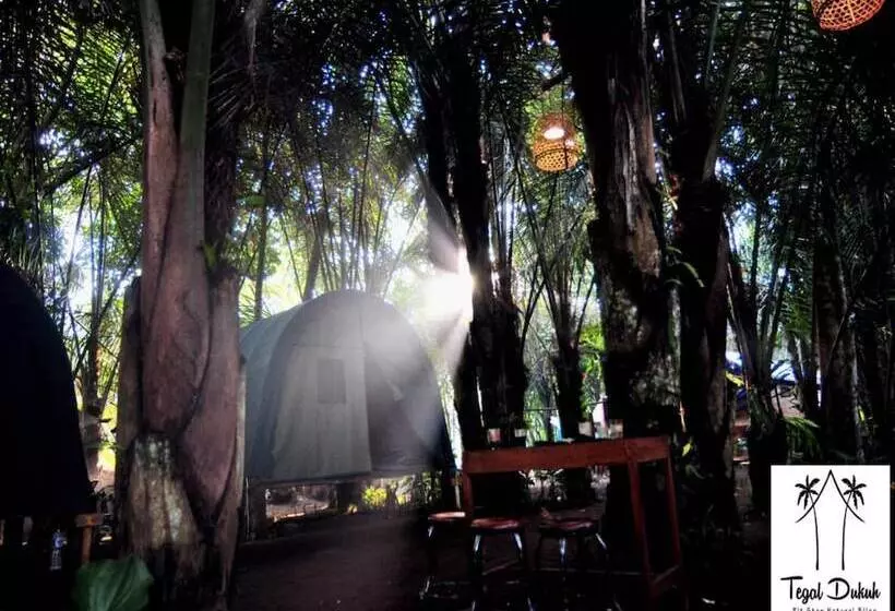 ユースホステル Tegal Dukuh Camp