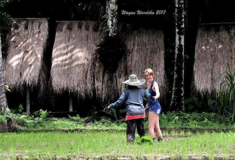 旅馆 Tegal Dukuh Camp