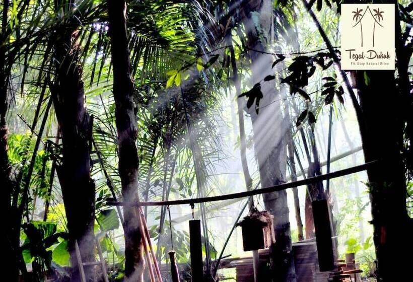 旅馆 Tegal Dukuh Camp