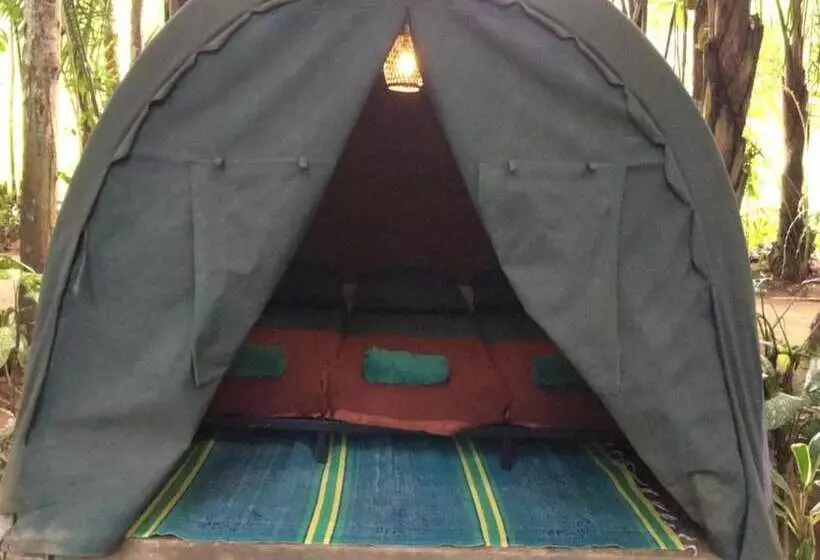 ユースホステル Tegal Dukuh Camp
