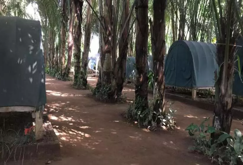 ユースホステル Tegal Dukuh Camp