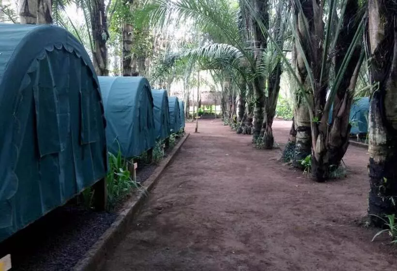 ユースホステル Tegal Dukuh Camp