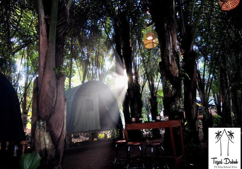 旅馆 Tegal Dukuh Camp