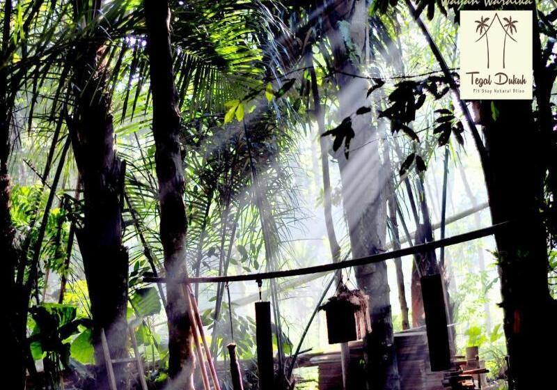 旅馆 Tegal Dukuh Camp