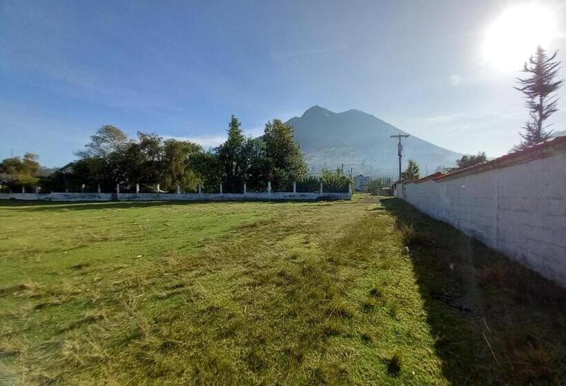 تختخواب و صبحانه Bonanza Hospedaje