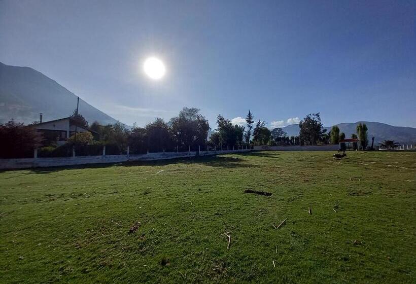 تختخواب و صبحانه Bonanza Hospedaje