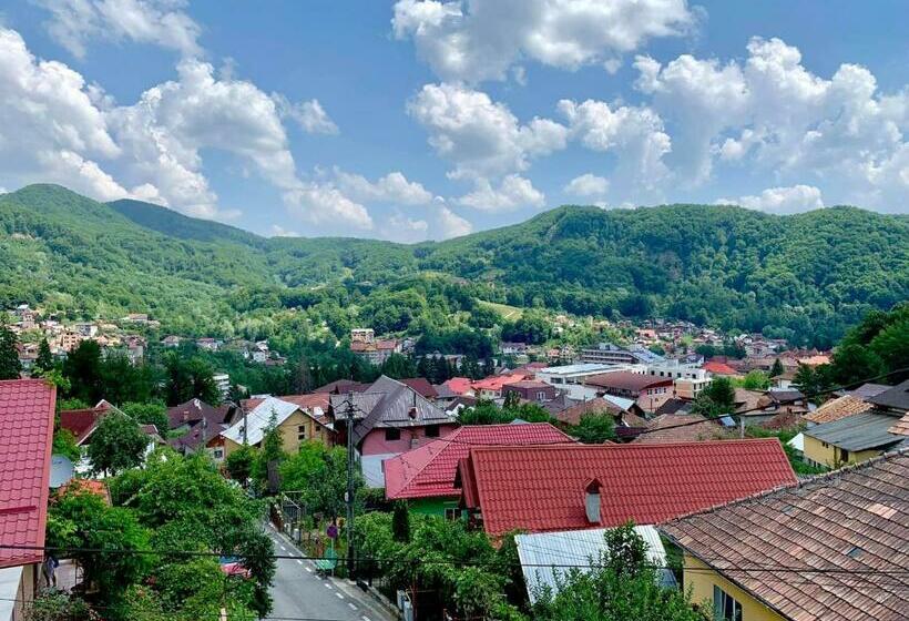 پانسیون Casa Olanesti