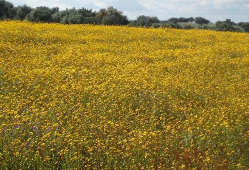 צימר Casa De Pedrógão