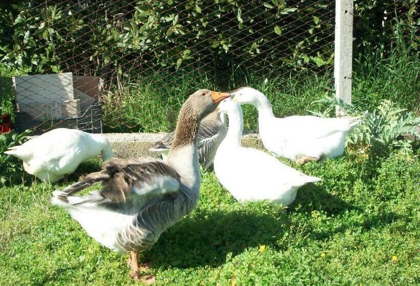 Hotelli Agriturismo Primerio