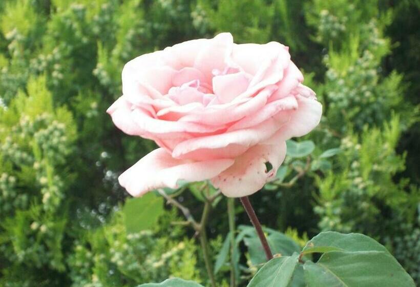 Hotelli Agriturismo Primerio