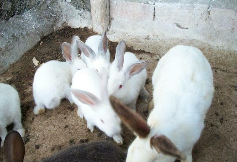 Hotelli Agriturismo Primerio