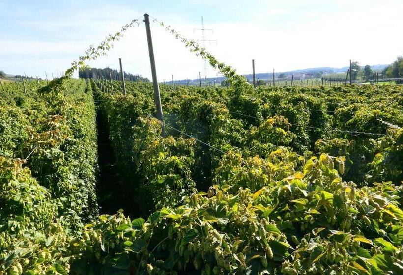 בית מלון כפרי Ferienhof Hopfgärtle Müller