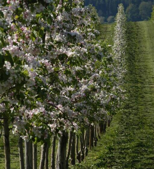 בית מלון כפרי Ferienhof Hopfgärtle Müller