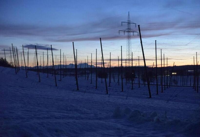 בית מלון כפרי Ferienhof Hopfgärtle Müller