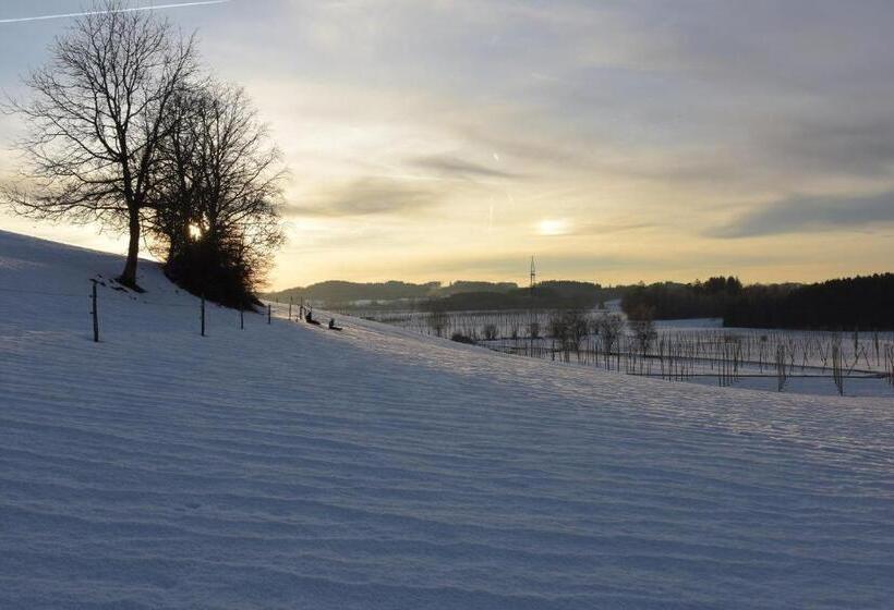 בית מלון כפרי Ferienhof Hopfgärtle Müller