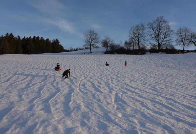 בית מלון כפרי Ferienhof Hopfgärtle Müller