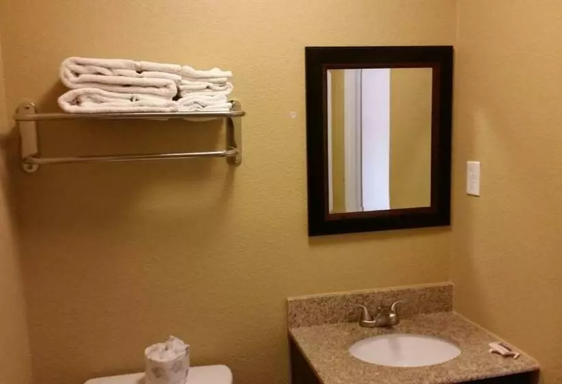 Motelli Travel Inn Snyder