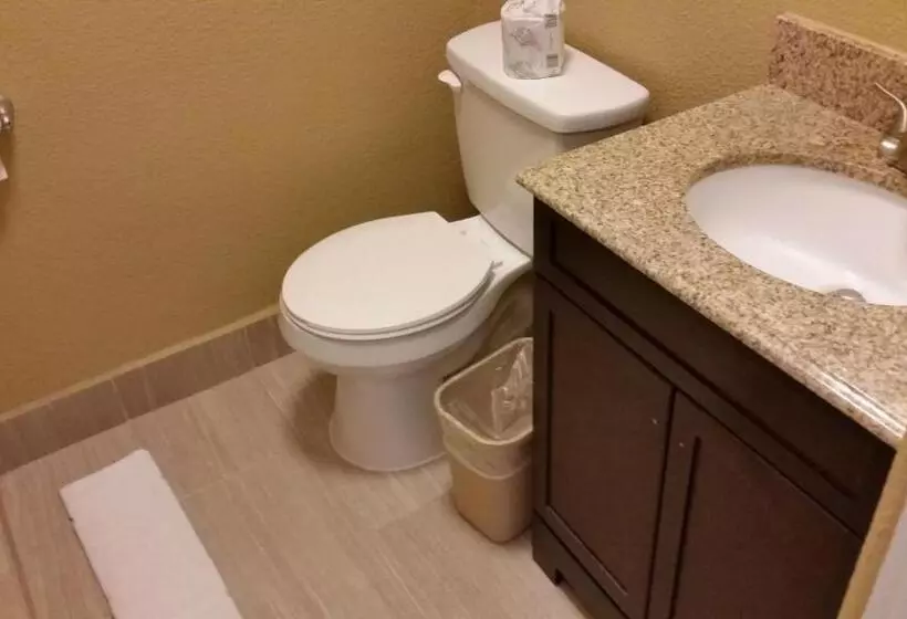 Motelli Travel Inn Snyder