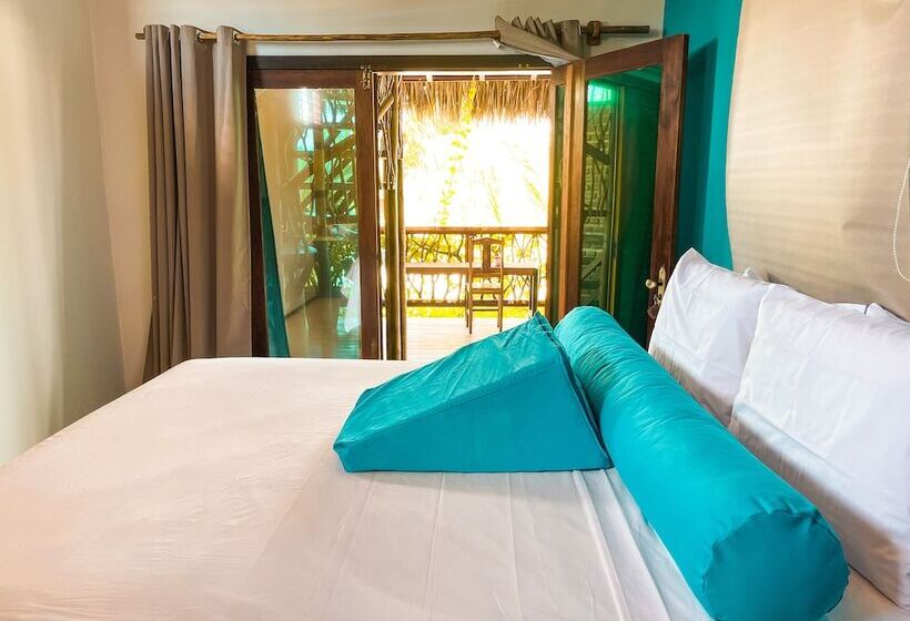 פנסיון 3 Piratas