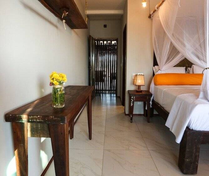 פנסיון 3 Piratas