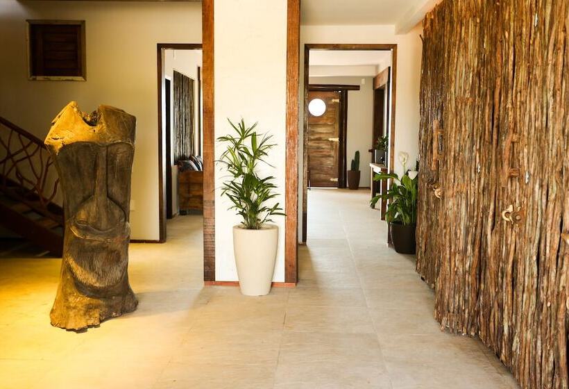 פנסיון 3 Piratas