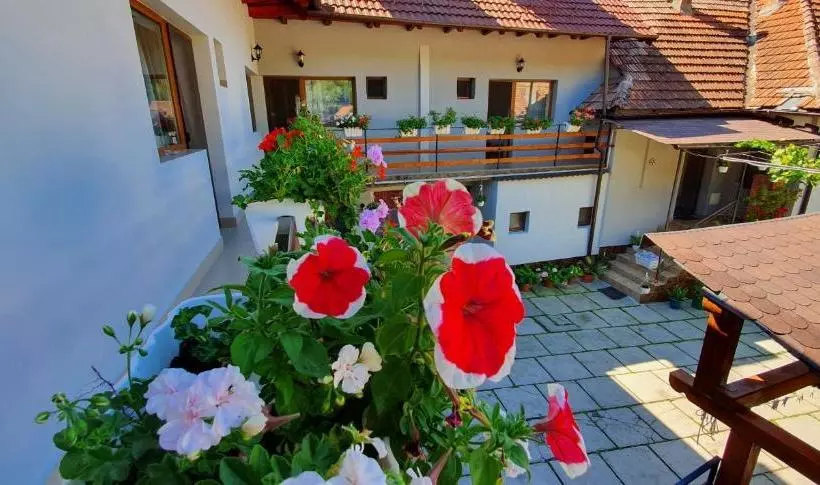 ペンション Casa Presecan