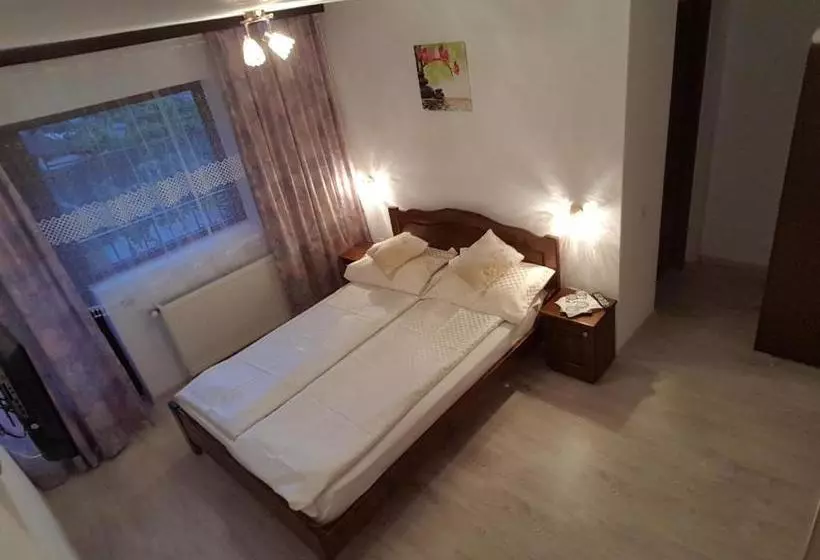 ペンション Casa Presecan