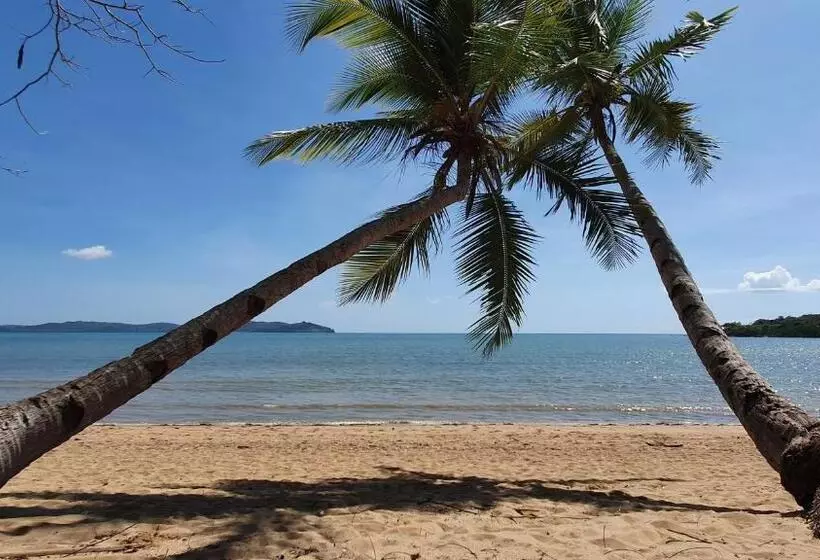 پانسیون Coconut Lodge