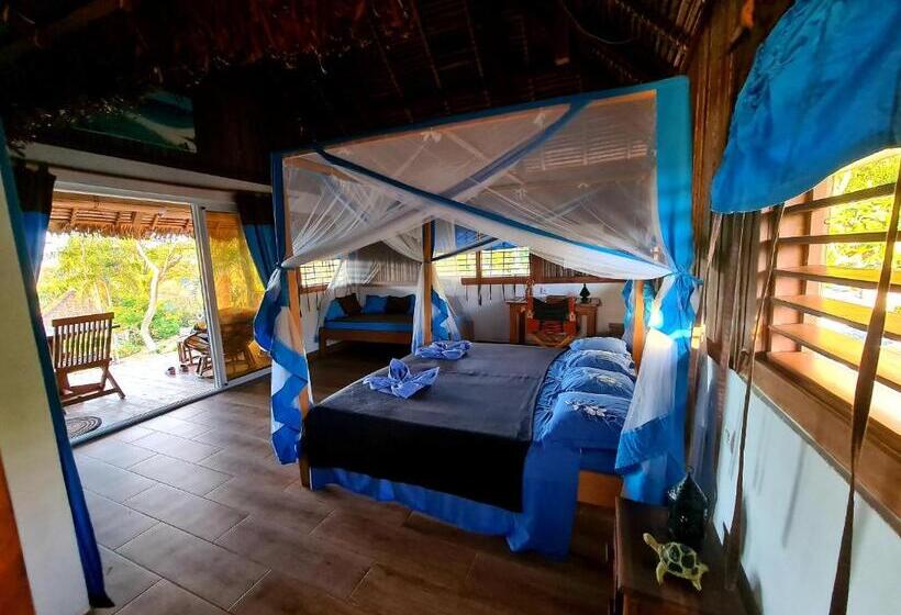 پانسیون Coconut Lodge