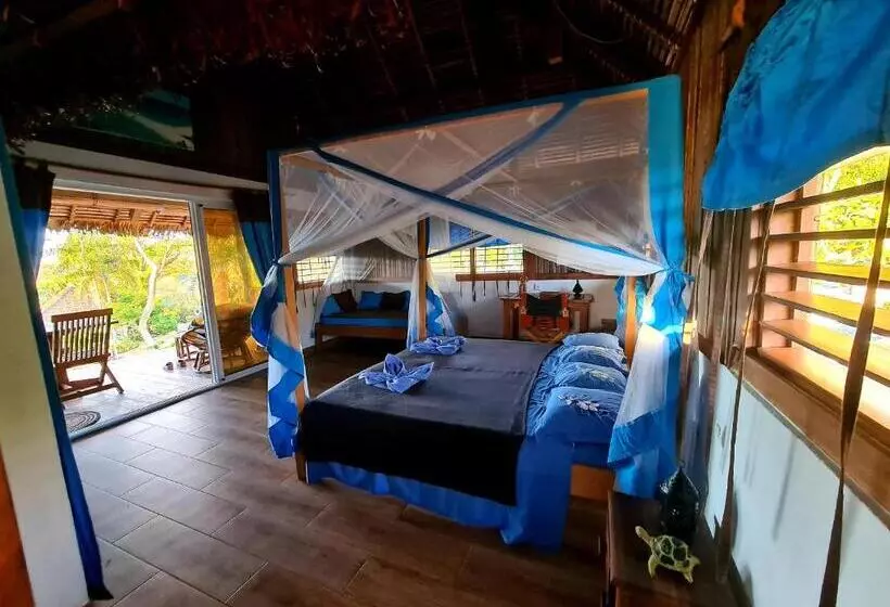 پانسیون Coconut Lodge