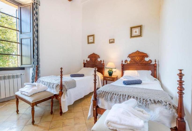 פנסיון Son Vivot   Habitación Doble Básica