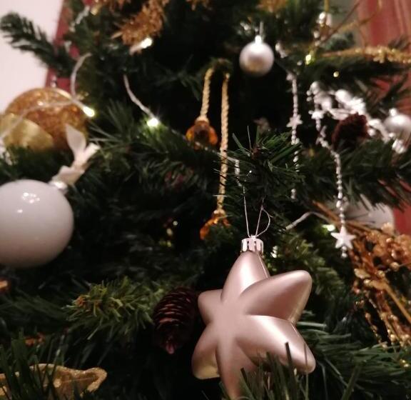 B&b Il Giardino Di Paola