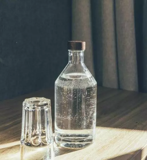 ホテル Das Gerlos  Boutique