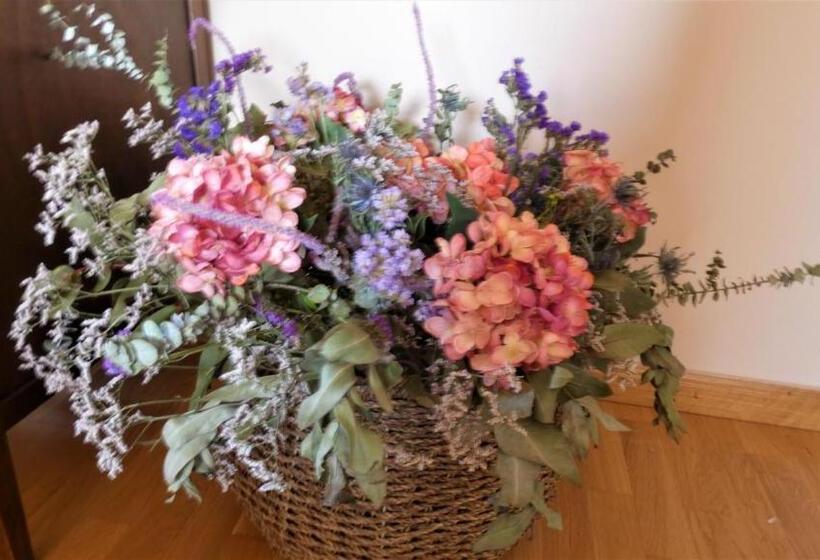 Отель La Posada Del Isabena