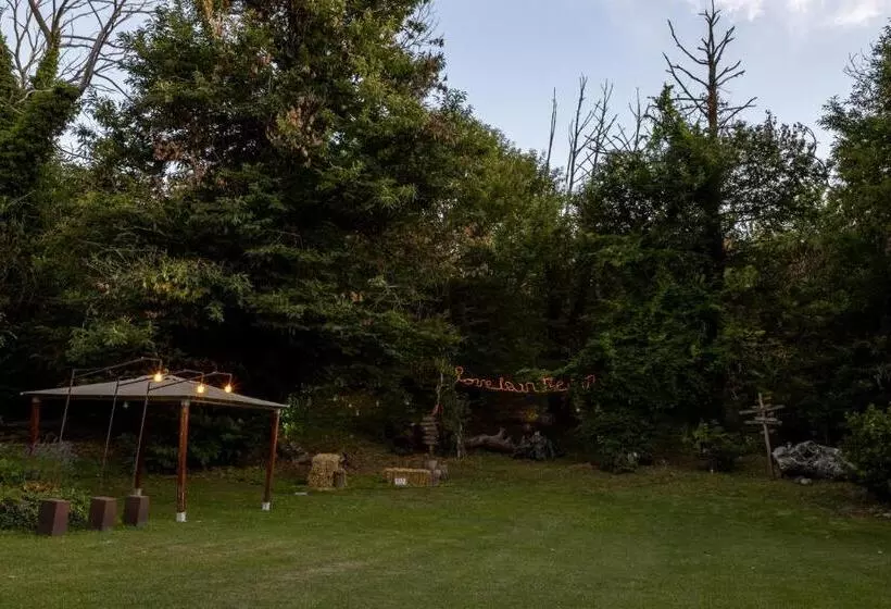 Hotelli No Mad Green