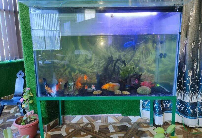 בית מלון כפרי Shresth