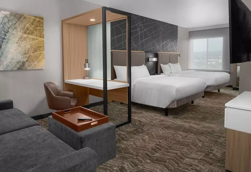 Hotelli Springhill Suites By Marriott Riverside Redlands