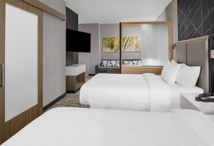 Hotelli Springhill Suites By Marriott Riverside Redlands