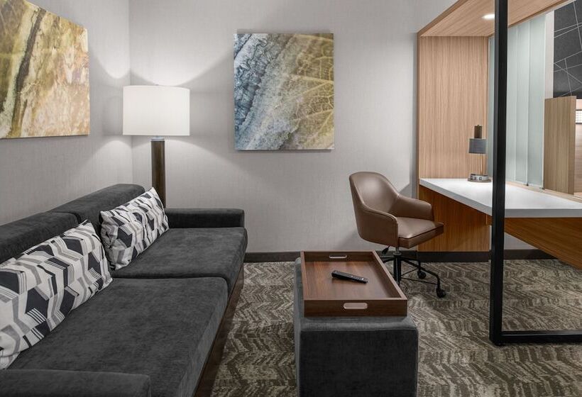 فندق Springhill Suites By Marriott Riverside Redlands