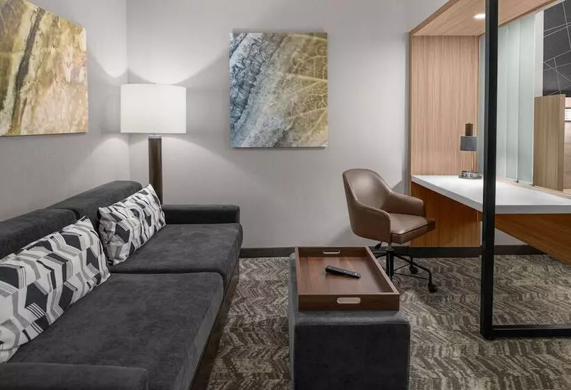 Hotelli Springhill Suites By Marriott Riverside Redlands