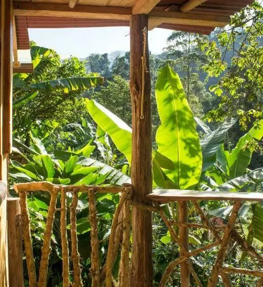 Majatalo Cabana Del Rio Lejos Pijao, Finca Flora Del Rio