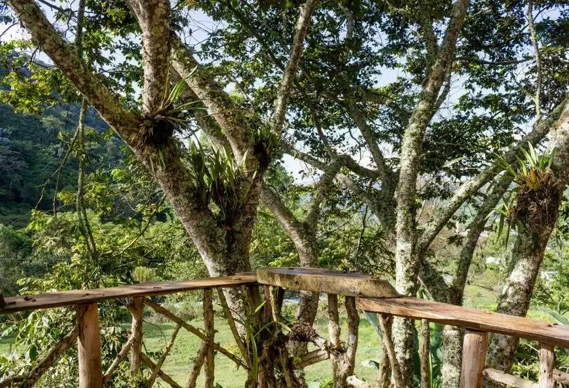 Majatalo Cabana Del Rio Lejos Pijao, Finca Flora Del Rio