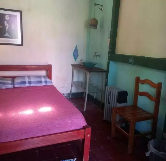 ペンション Casa Del Arbol Hostel